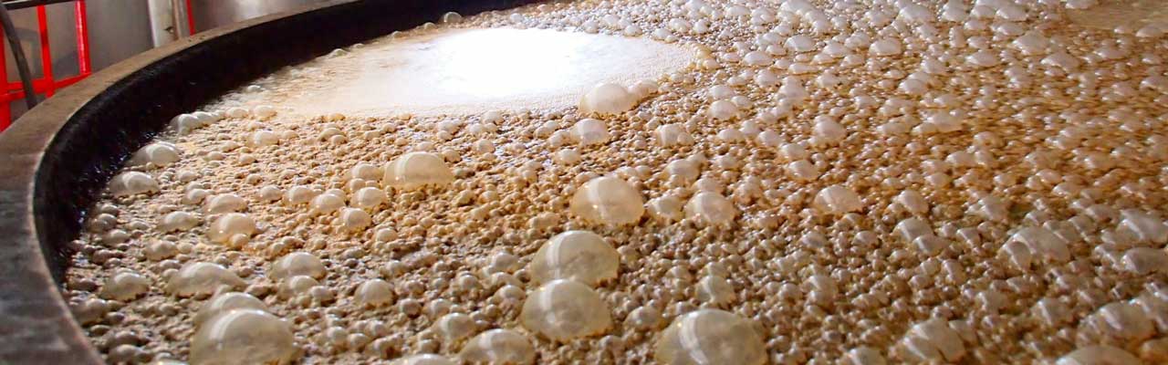 fermentazione lieviti birra viola